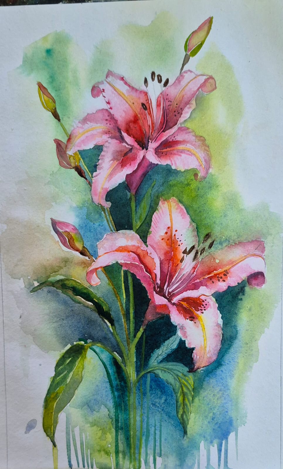 Lily